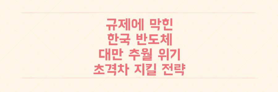 규제에 발목 잡힌 한국 반도체, 대만 추월 위기 속에서 '초격차'를 지킬 단 하나의 전략은?
