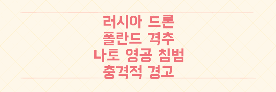 러시아 드론 폴란드 격추, 나토 영공 침범이 전 세계에 던지는 충격적 경고