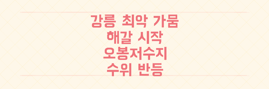 강릉 최악 가뭄 해갈의 시작! 오봉저수지 저수율 52일 만의 반등과 향후 날씨 예측