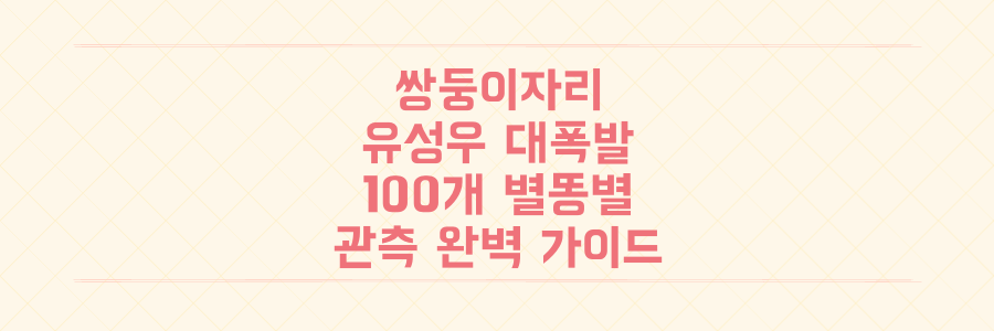 올겨울 놓칠 수 없는 쌍둥이자리 유성우! 100개 별똥별 보는 완벽 관측 가이드와 날씨 팁