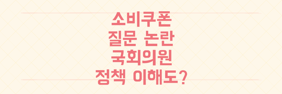 조배숙 의원 '소비쿠폰' 질문 논란: 국회의원 정책 이해도 문제없나?