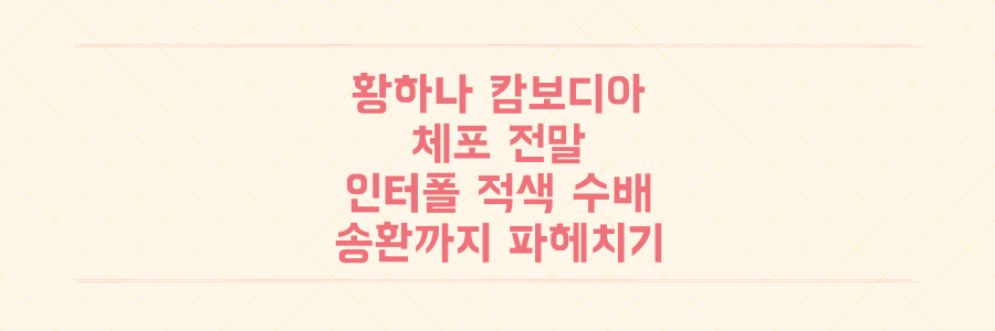 황하나 캄보디아 체포 전말: 인터폴 적색 수배부터 국내 송환까지 모든 것 파헤치기