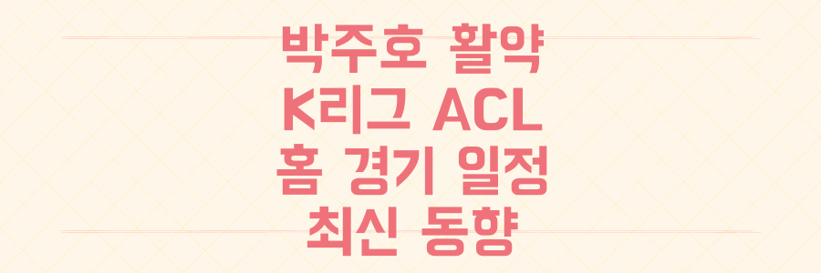 박주호 활약과 K리그 ACL 홈 경기 일정, 아시아 클럽 최신 동향 총정리