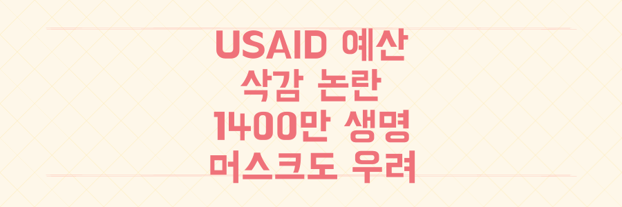 USAID 예산 삭감 대논란: 1400만 생명 위협, 일론 머스크까지 나섰다