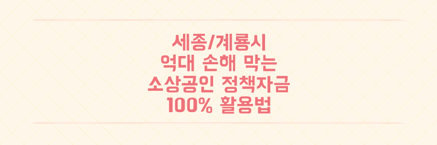 세종/계룡시 포함! 놓치면 억대 손해 보는 소상공인 정책자금 100% 활용 전략