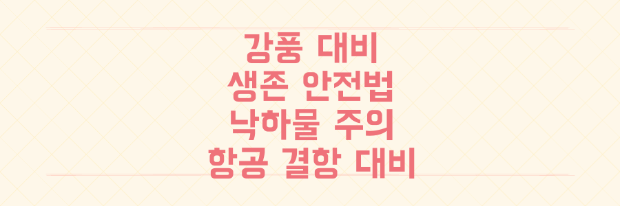 강풍 경보 전격 대비: 건물 낙하물부터 항공기 결항까지 막는 생존 안전 수칙 총정리