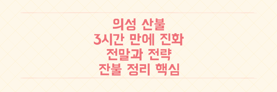 눈보라가 3시간 만에 끈 경북 의성 산불, 진화의 전말과 잔불 정리 핵심 전략