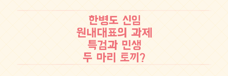 민주당 한병도 신임 원내대표, '친문' 지도부로 특검과 민생 두 마리 토끼 잡을 수 있을까?