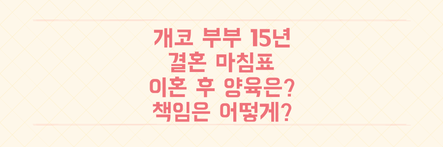 다이나믹 듀오 개코 부부 15년 결혼 마침표, 이혼 후 자녀 양육 책임은 어떻게?