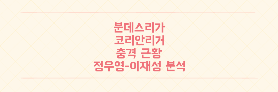 분데스리가 코리안리거 충격 근황: 풀타임 정우영부터 꼴찌 탈출 이끈 이재성까지 전격 분석
