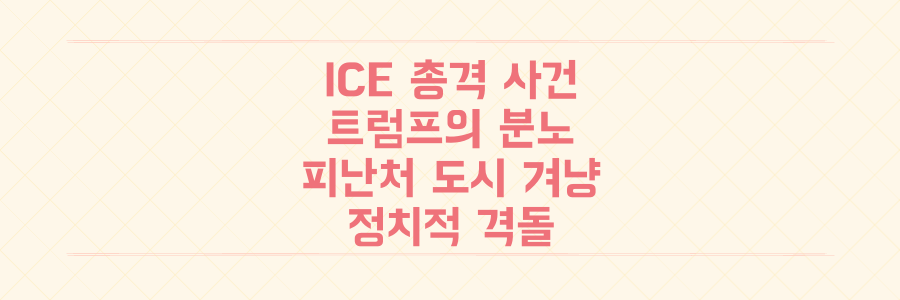 미국 ICE 총격 사망 사건, 트럼프가 '피난처 도시'를 겨냥하며 촉발된 정치적 격돌의 전말