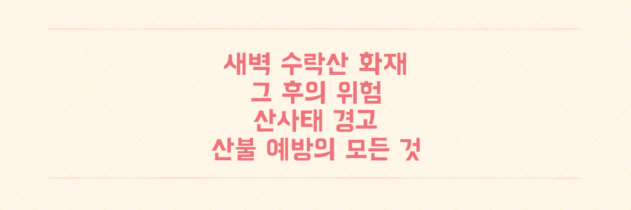 새벽 수락산 화재 그 후: 산사태 위험과 우리가 잊지 말아야 할 산불 예방의 모든 것
