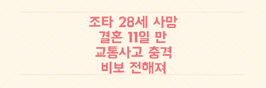 리버풀 디오구 조타 28세 사망, 결혼 11일 만 교통사고 충격 비보