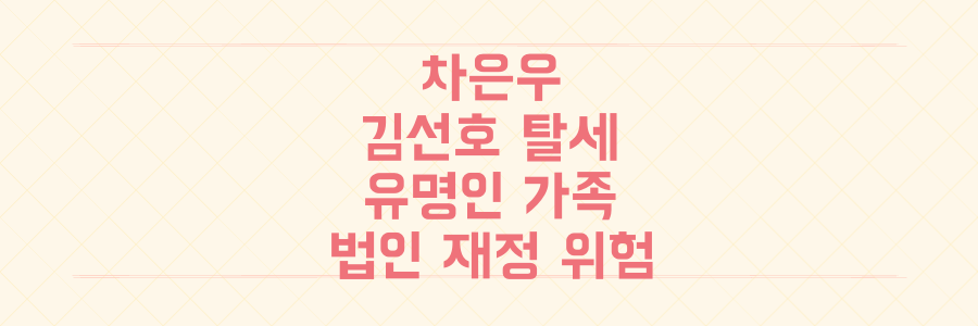 차은우 이어 김선호 탈세 의혹, 유명인 가족 법인 재정 관리의 치명적 위험 분석