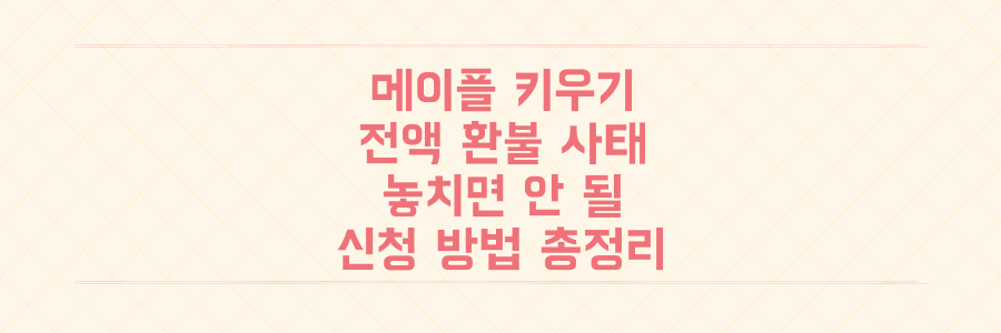 넥슨 '메이플 키우기' 전액 환불 사태의 전말과 당신이 놓치면 안 될 환불 신청 방법 총정리