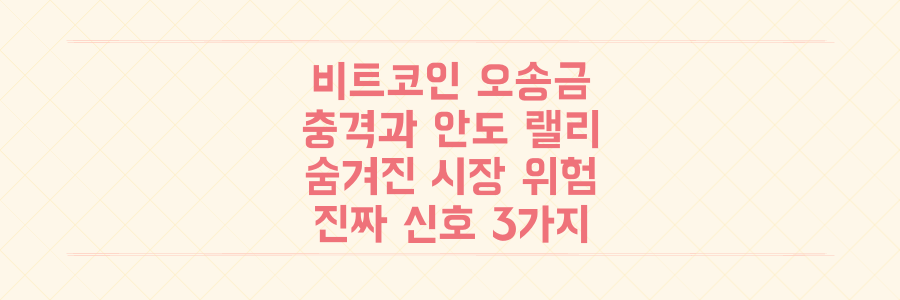 비트코인 대규모 오송금 충격, 이 '안도 랠리' 뒤에 숨겨진 진짜 시장 위험 신호 3가지
