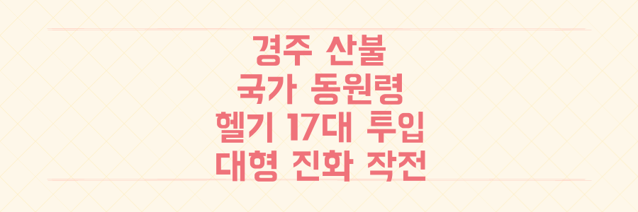 경주 산불 국가 동원령의 전말: 헬기 17대 투입된 대형 진화 작전의 모든 것