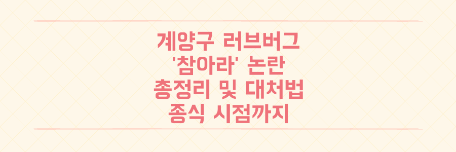 계양구 러브버그 '참아라' 발언 논란 총정리! 대처법부터 종식 시점까지