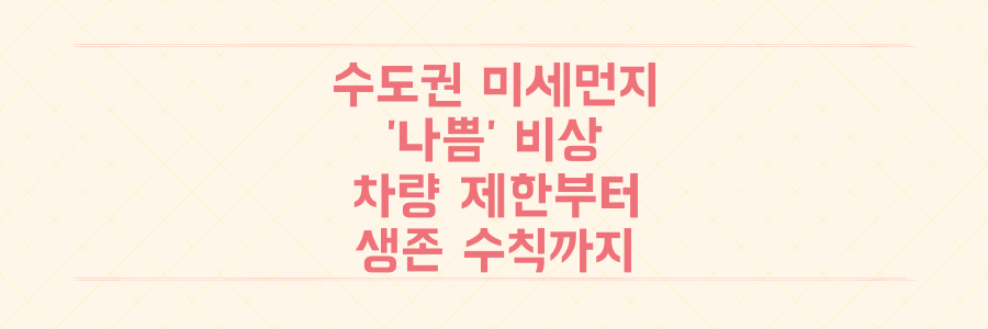 수도권 초미세먼지 '나쁨' 초과! 비상저감조치 발령 시 차량 제한부터 생존 수칙까지 완벽 정리