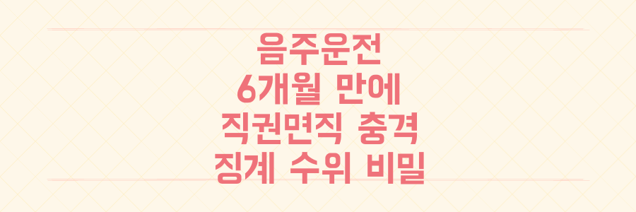 공직자 음주운전, 임명 6개월 만에 '직권면직'된 충격적 이유와 징계 수위의 비밀