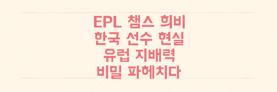 EPL 챔스 희비 엇갈린 한국 선수 현실과 유럽 무대 지배력의 비밀을 파헤치다