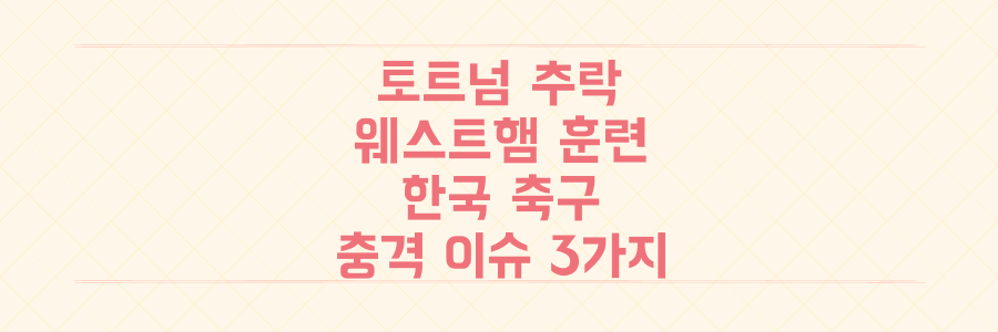 토트넘 추락부터 웨스트햄 이색 훈련까지, 한국 축구 미래를 흔드는 충격적 이슈 3가지 전격 분석