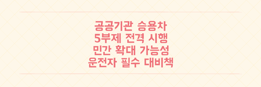 공공기관 승용차 5부제 전격 시행, 민간 확대 가능성과 운전자가 꼭 알아야 할 대비책