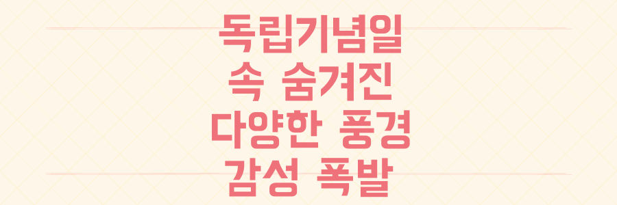 겉만 보고 놀랐다면 오산! 미국 독립기념일 속 숨겨진 다양한 풍경과 감성