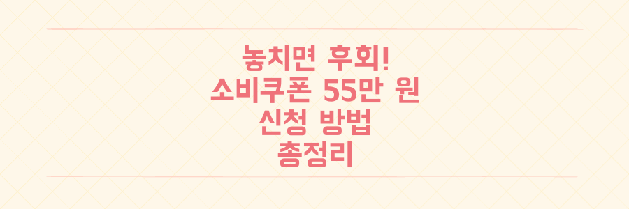 놓치면 후회! 전 국민 소비쿠폰 최대 55만원 신청 방법 및 사용처 총정리