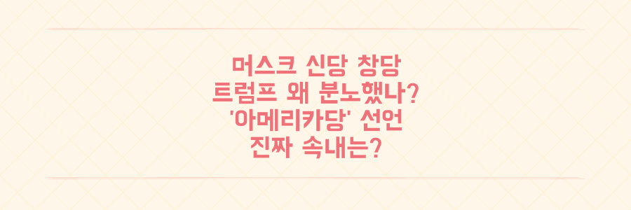 일론 머스크, '아메리카당' 창당 선언! 트럼프가 발끈한 진짜 이유?