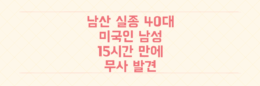 남산 실종 40대 미국인 남성 15시간 만에 무사 발견, 당시 긴박했던 상황 전말 정리