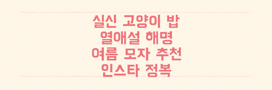 실신 고양이 밥 소리 기적? 신지 열애설 해명, 여름 모자 추천, 인스타그램 완전 정복까지!