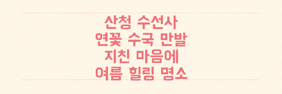 산청 수선사: 연꽃 수국 만발! 지친 마음에 위로를 주는 여름 힐링 명소