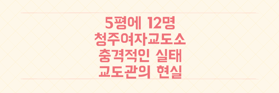 5평에 12명이 수용된 청주여자교도소, 충격적인 실태와 교도관들이 겪는 현실