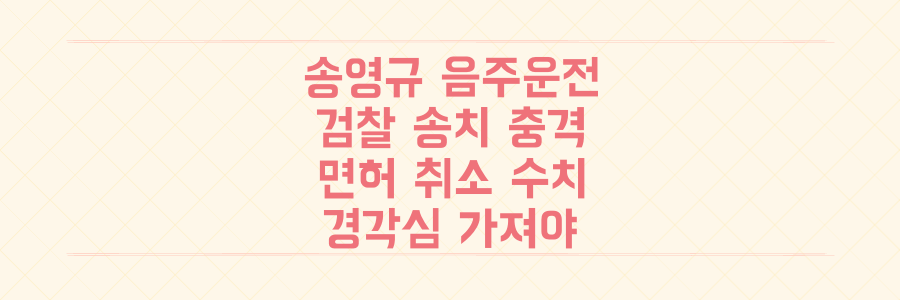배우 송영규 음주운전 검찰 송치, 면허 취소 수치로 드러난 충격적 전말과 경각심