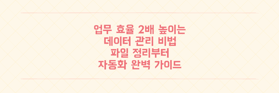 업무 효율 2배 높이는 데이터 관리법: 파일 정리부터 자동화까지 완벽 가이드