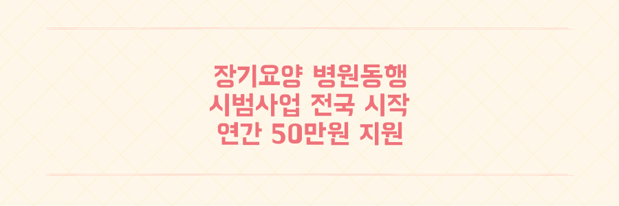 장기 요양 병원동행 시범사업 7월 30일부터 전국 282곳 시행