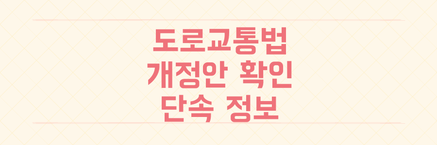 도로교통법 개정 추진 교통 사망 사고 시 면허 즉시 취소 검토