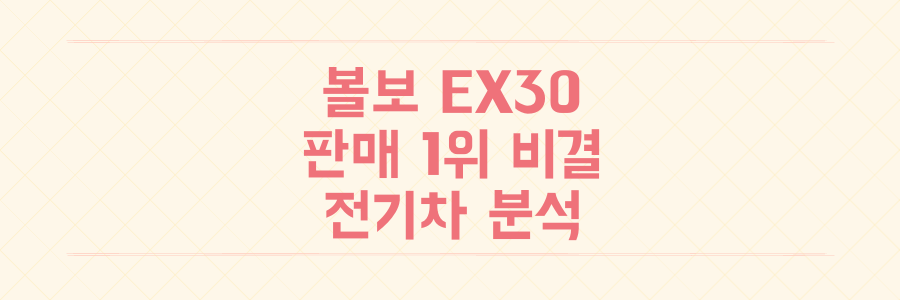 볼보 EX30 가격 인하로 판매 1위 달성한 전기차 SUV의 모든 것