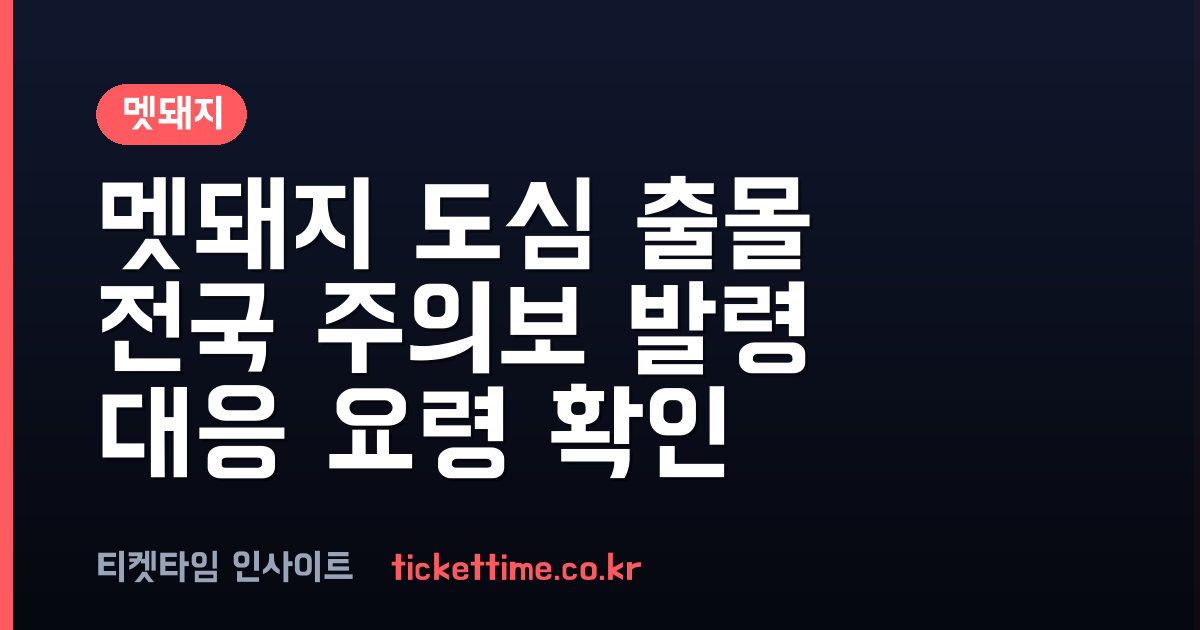 멧돼지 도심 출몰 잇따라, 세종·강릉·횡성 등 전국 비상 및 대응 요령