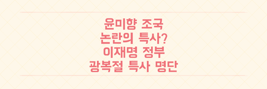 윤미향 포함 논란, 조국까지? 이재명 정부 첫 광복절 특사 명단과 정치적 파장 총정리