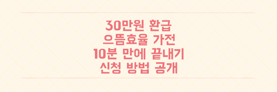 최대 30만원 환급! 삼성/LG 으뜸효율 가전 구매 시 복잡한 환급 신청 절차 10분 만에 끝내는 법