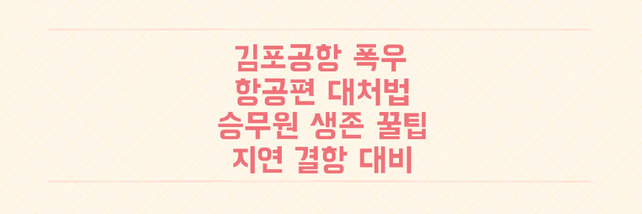 김포공항 기록적 폭우, 항공편 지연/결항 시 승무원처럼 대처하는 생존 팁과 꿀팁 대공개
