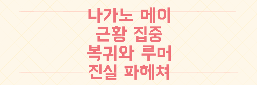 나가노 메이 불륜 스캔들 후 근황, 연예계 복귀와 다나카 케이 루머의 진실 파헤치기