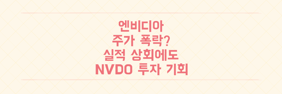 실적 상회에도 엔비디아 주가 폭락 이유와 2배 레버리지 NVDO 투자 기회 분석