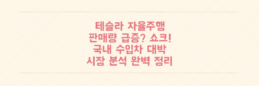 테슬라 자율주행 '올인' 판매량 쇼크와 대박난 국내 수입차 시장 분석
