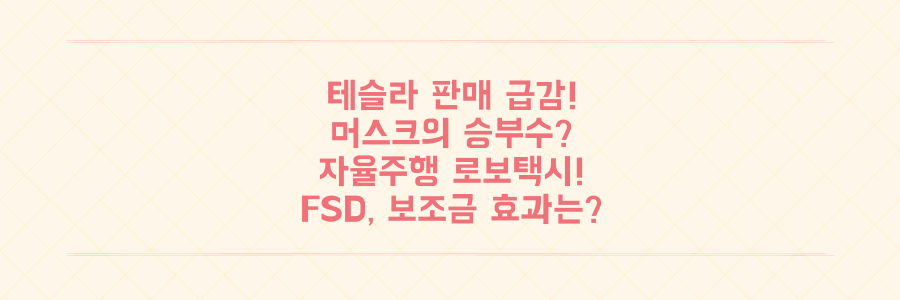 테슬라 판매량 쇼크? 머스크의 자율주행 로보택시 올인 전략 (FSD, 보조금, 인도 총정리)