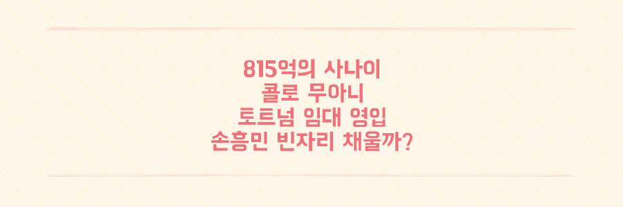 손흥민 공백 메울 815억의 사나이, 콜로 무아니 토트넘 임대 영입의 모든 것