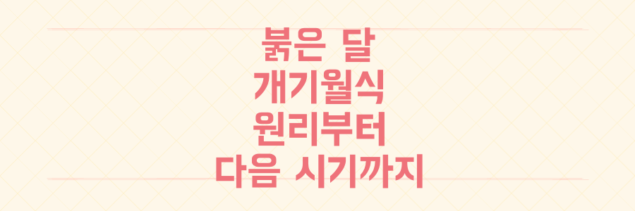 3년 만의 붉은 달 개기월식 원리부터 다음 관측 시기까지, 놓치면 후회할 모든 정보 총정리